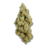 Amnesia CBD