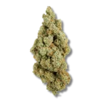 Amnesia CBD
