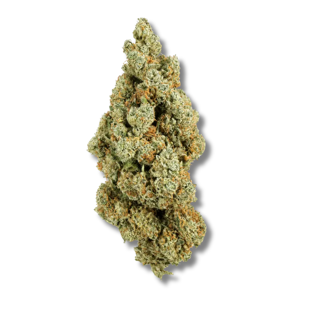 amnesia fleur cbd hermosa indoor