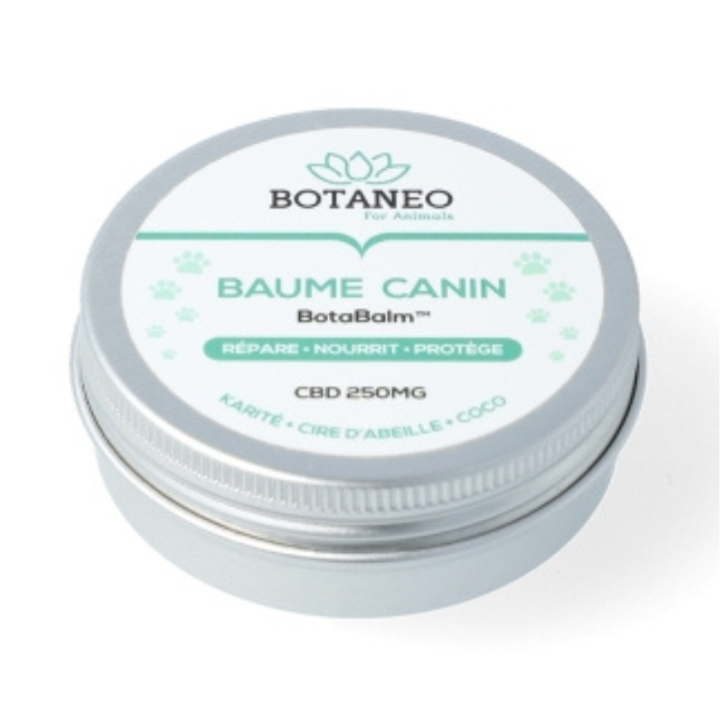 baume cbd chien