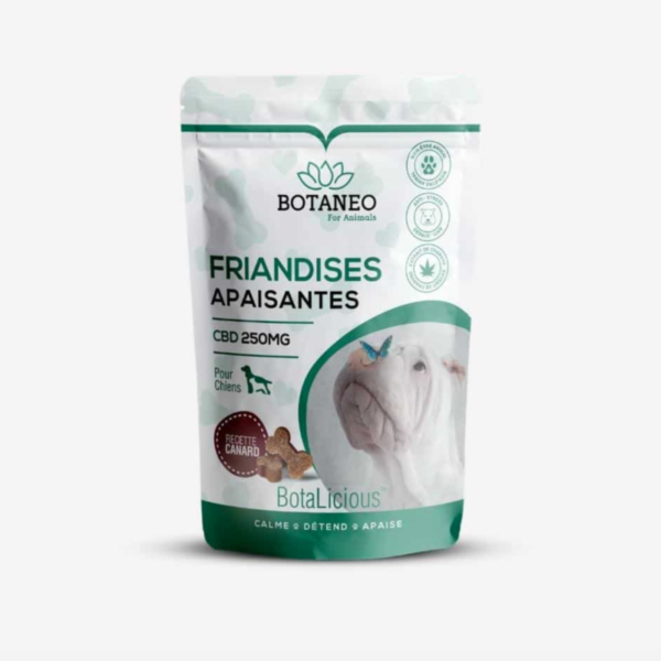 friandises chien cbd