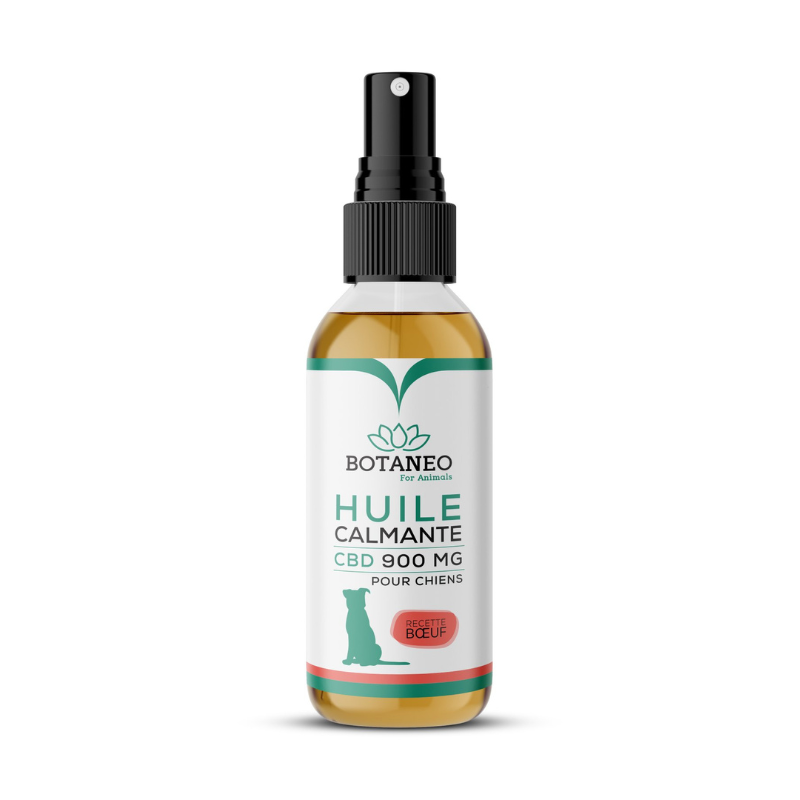 huile cbd chien boeuf