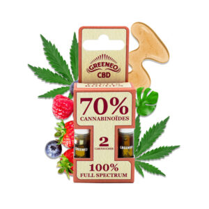 cartouche cbd stick fruits rouges