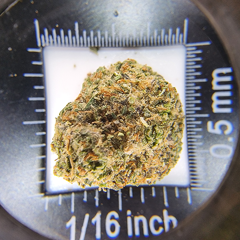 Gelato CBD main image 1