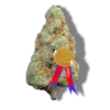 Mandarine cream cbd indoor puissant cannabis cup winner hermosa