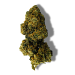 Tropical Dream CBD