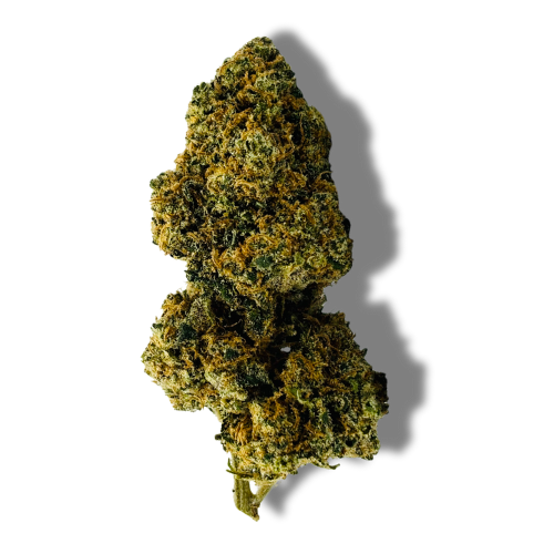 tropical dream indoor cbd puissant cannabis cup winners hermosa