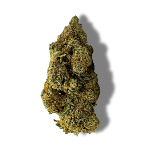 lemon kush indoor cbd puissant cannabis cup winners hermosa