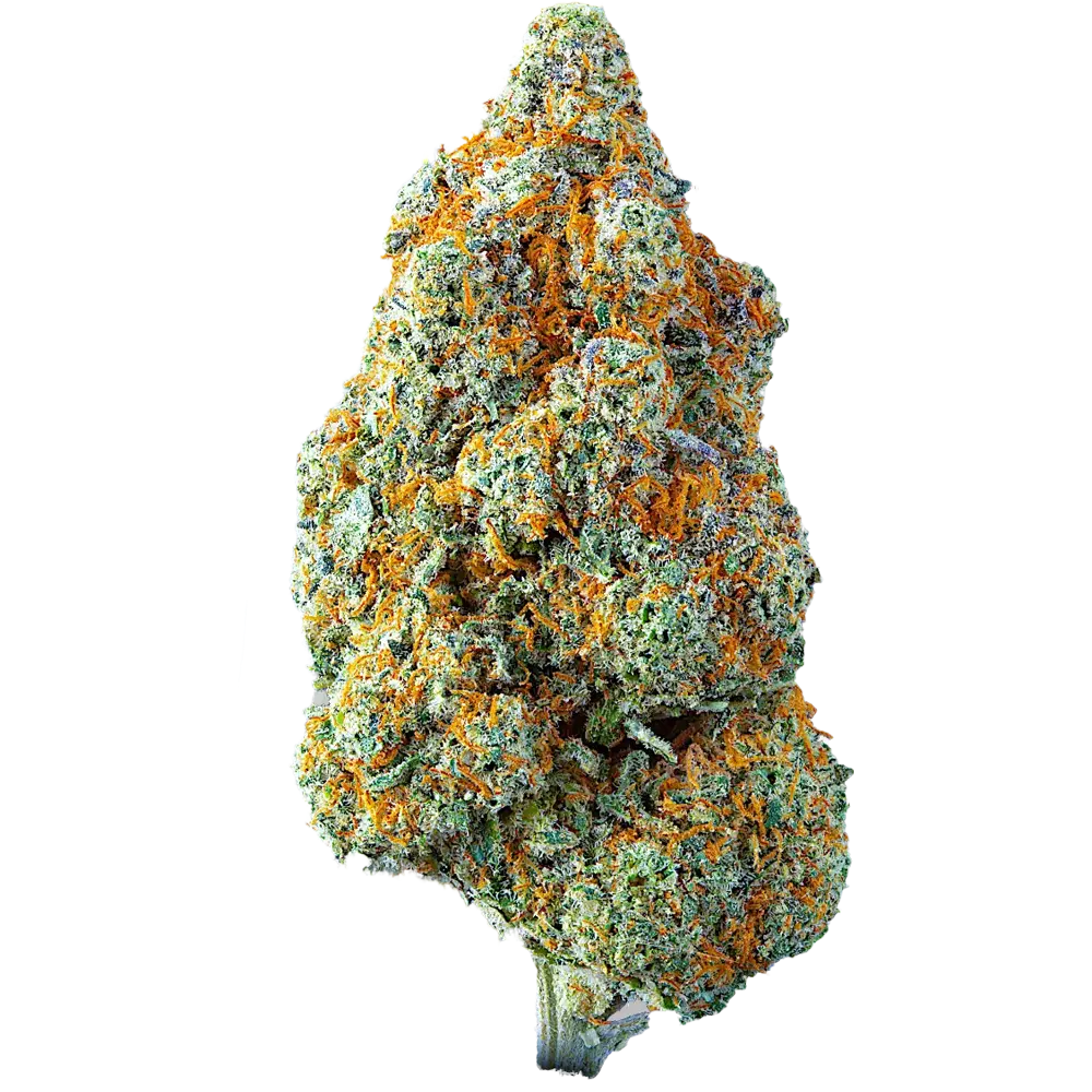 lemon kush indoor cbd puissant cannabis cup winners hermosa