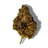 Purple Punch CBD fleur indoor puissante hermosa