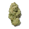 Critical Haze CBD