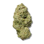 Critical Haze CBD