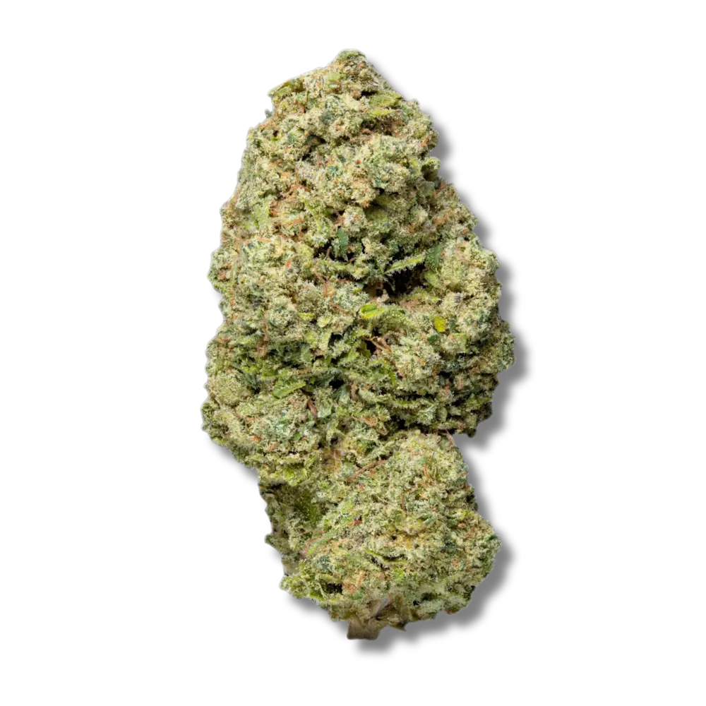 critical haze fleur cbd hermosa indoor