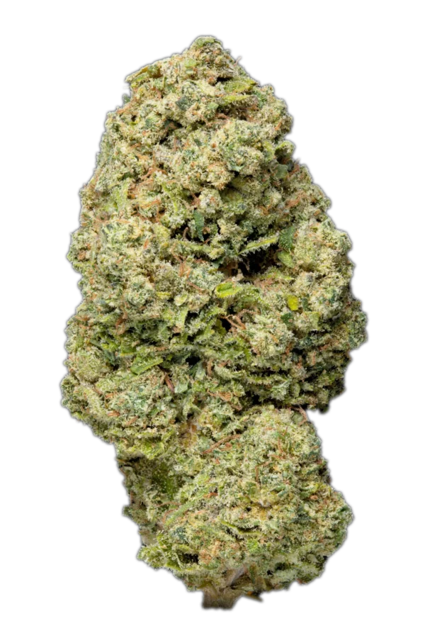 Critical Haze CBD