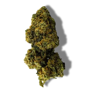 magic tropical dream cbd puissant hermosa