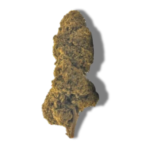 Magic Watermelon CBD indoor Hermosa fleurs puissantes