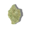 Runtz CBD
