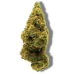 Lemon Tree CBD