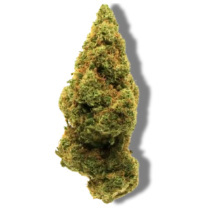 Lemon Tree cali cbd indoor puissant hermosa