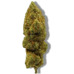 Banana Cream