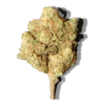 Corelato