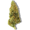 Dosidos