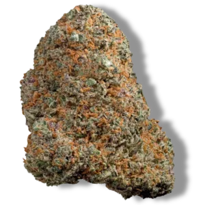 gelato 41 cali thc-x