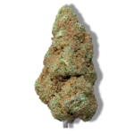 Magic Gorilla Mandarine