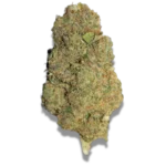 Plutonium