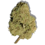 White Widow THX