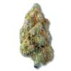 Magic Lemon Kush Pop