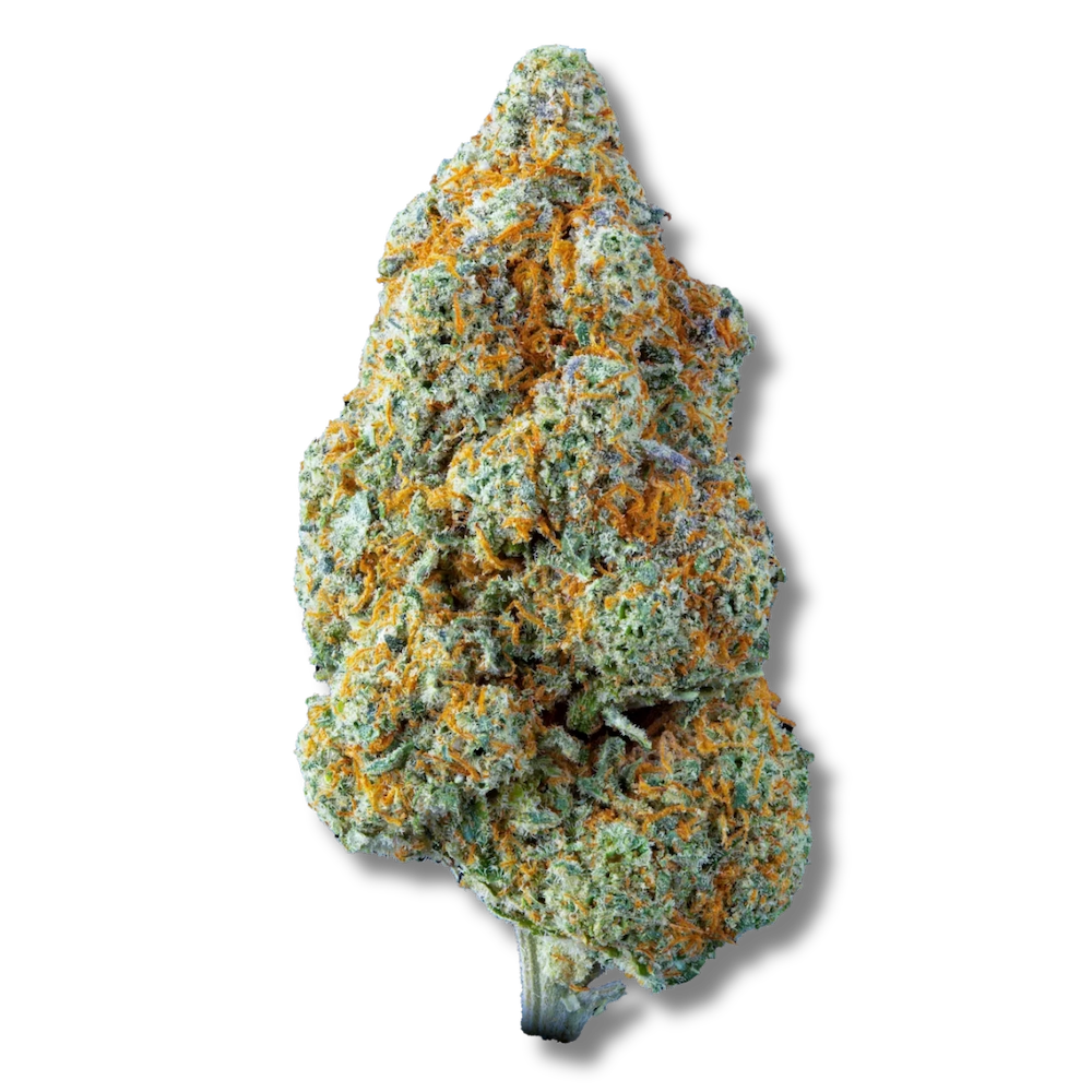 Magic Lemon CBD Hermosa