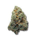 Magic Amnesia