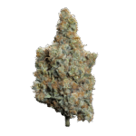 Magic Burn Baby Burn