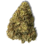 Florida Gold CBD