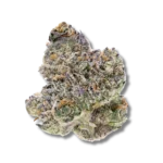 Exodus Cheese