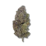 Diamond Grape Greenhouse