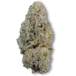 Snowing Dam CBD