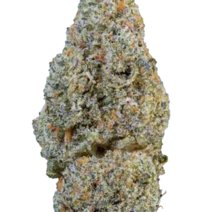 Snowing dam CBD ultra haute qualité hermosa