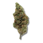 Amnesia Core Cut CBD – Greenhouse USA