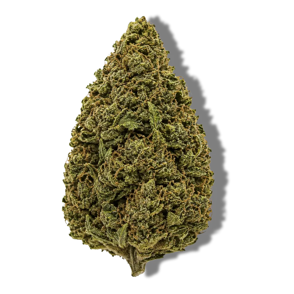 Passion Kush fleur de cbd pas cher glasshouse hermosa.webp