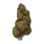 Hawaïan Haze CBD – Greenhouse USA