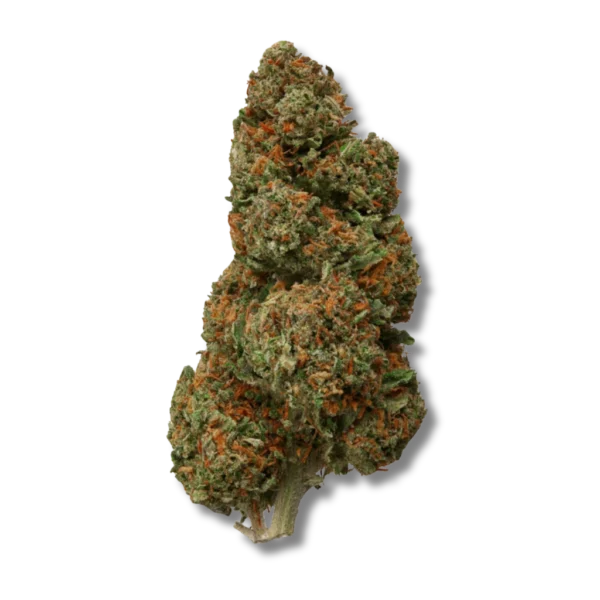 Hawaïan Haze CBD – Greenhouse USA