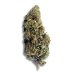 Sweet Mandarine CBD – Greenhouse USA