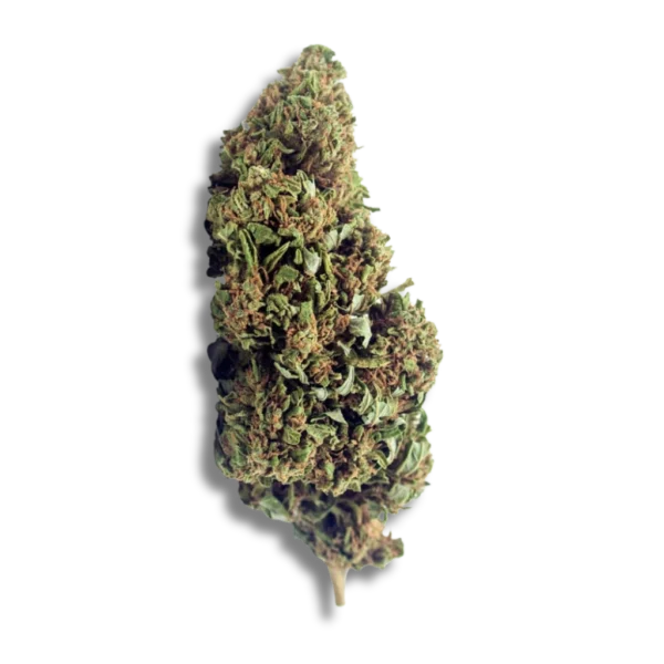 Sweet Mandarine CBD – Greenhouse USA
