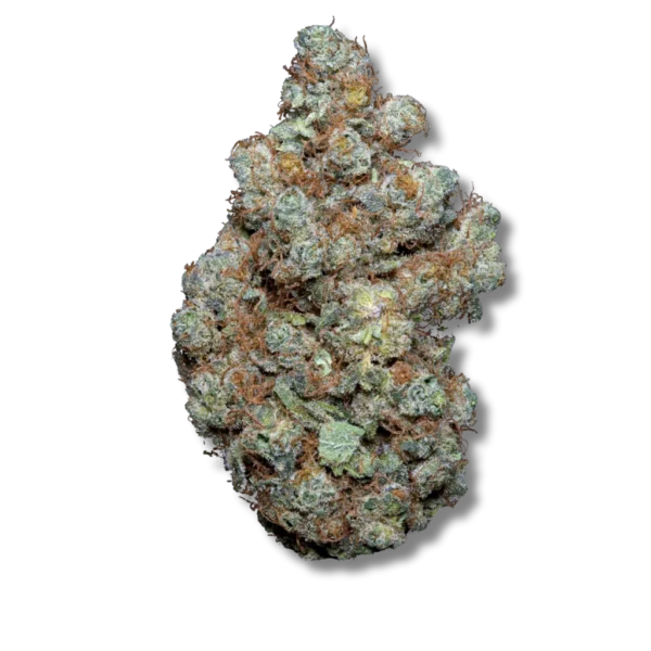 Casper 10-OH-HHC - gros plan bud 600x600 Hermosa