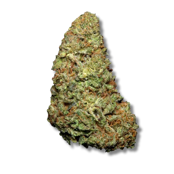 Early Girl 10-OH-HHC - gros plan bud Hermosa