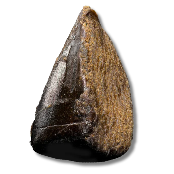 Magic Lamponi Hash