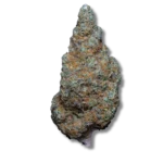 Magic Teriyaki Sauce