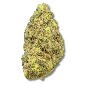 Blueberry Meringue Indoor CBD Top qualité premium USA
